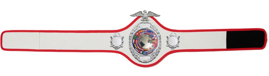 CHAMPIONSHIP BELT PRO288/S/FLAGS - AVAILABLE IN 10 COLOURS CHAMPIONSHIP BELT PRO288/S/FLAGS - AVAILABLE IN 10 COLOURS